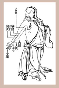 Dessin traditionnel méridiens homme chinois