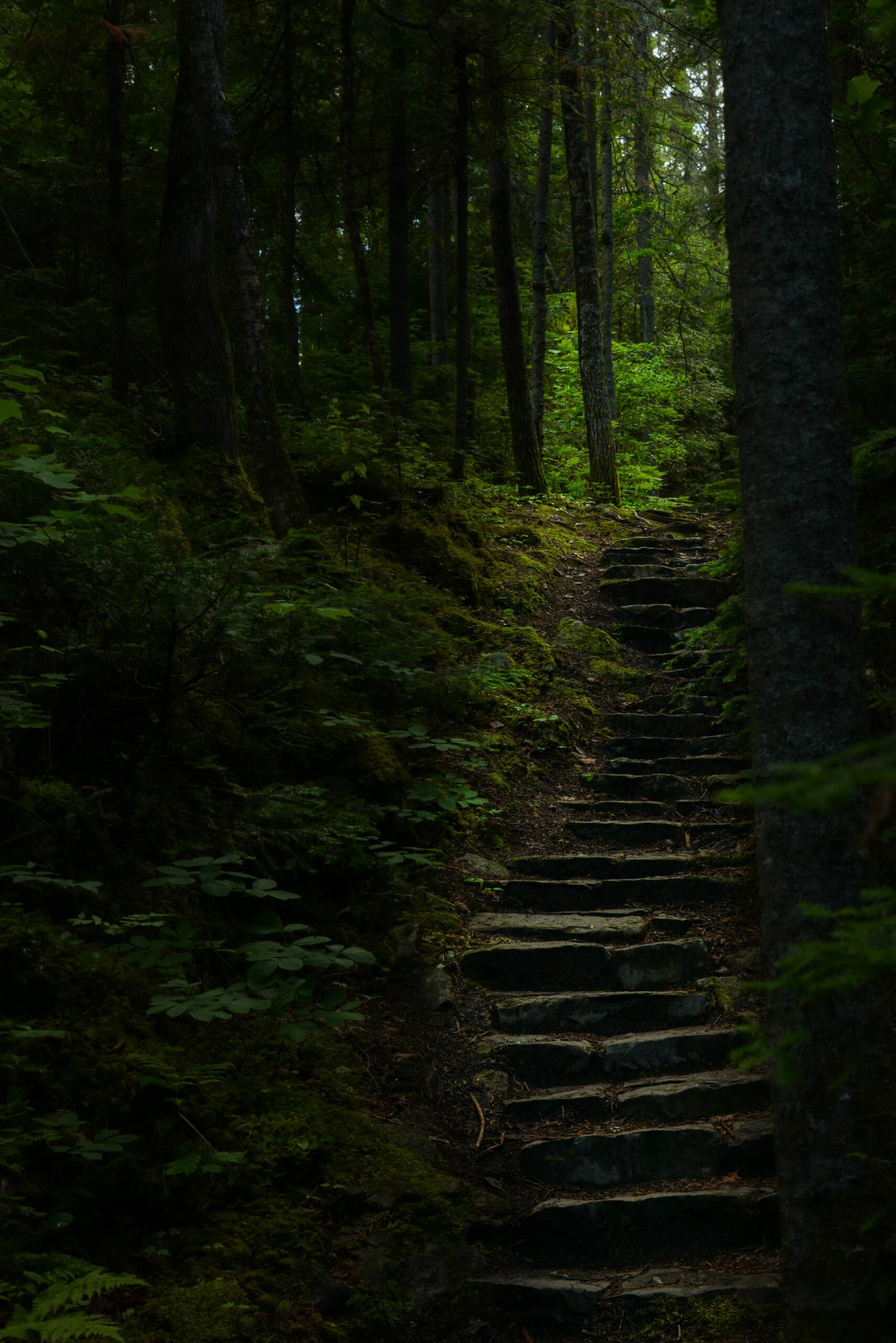 suivre le chemin